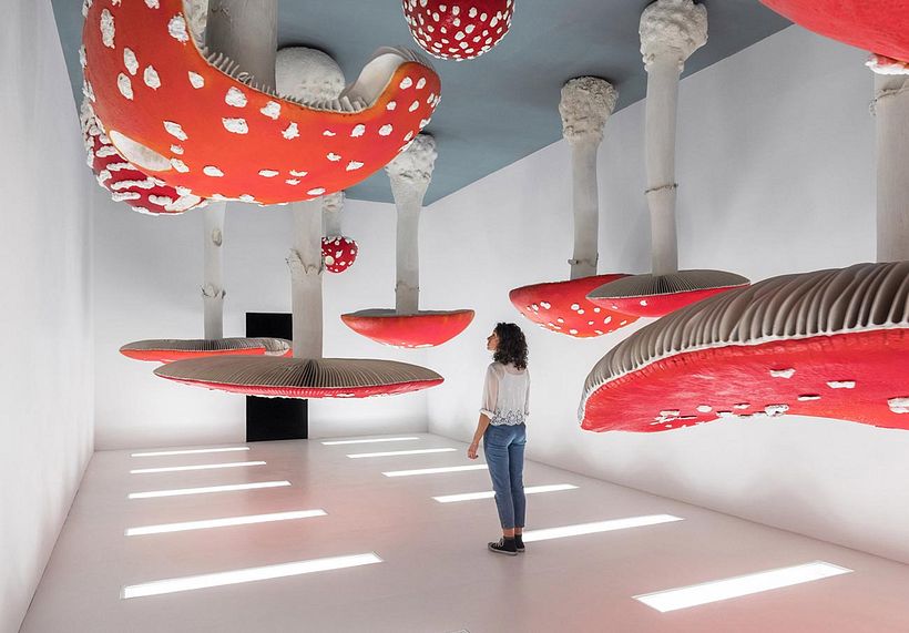 Las exposiciones más esperadas en México para iniciar 2019 10