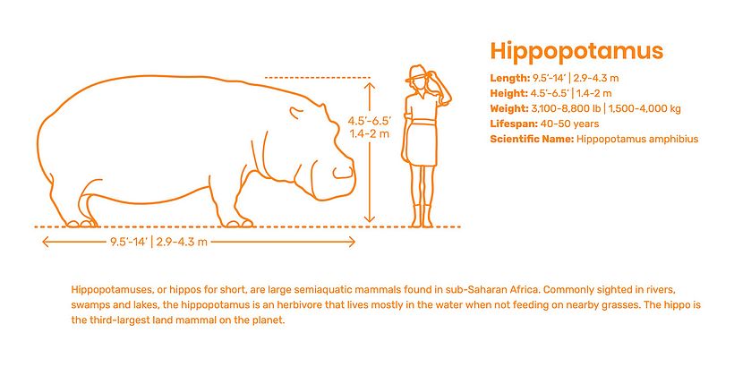 La guía gratuita de medidas universales que necesitábamos  4