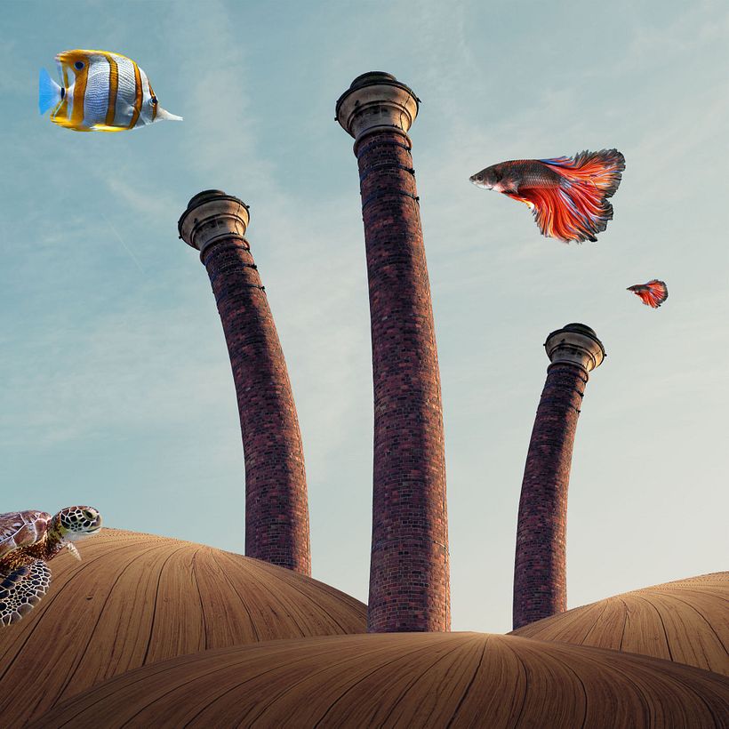 Transformaciones creativas 1