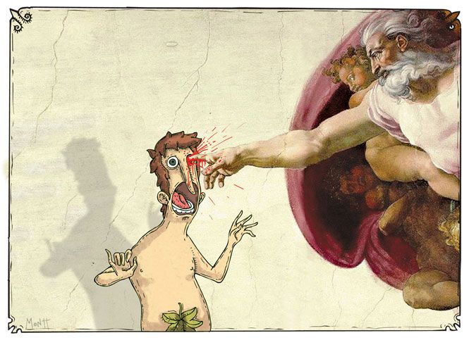 Viñetas para Dosis Diarias 0