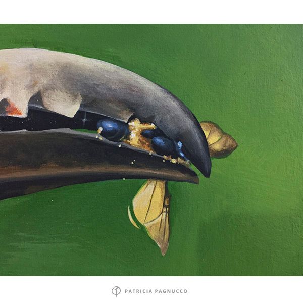 Tucán / pintura  1