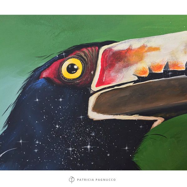 Tucán / pintura  2