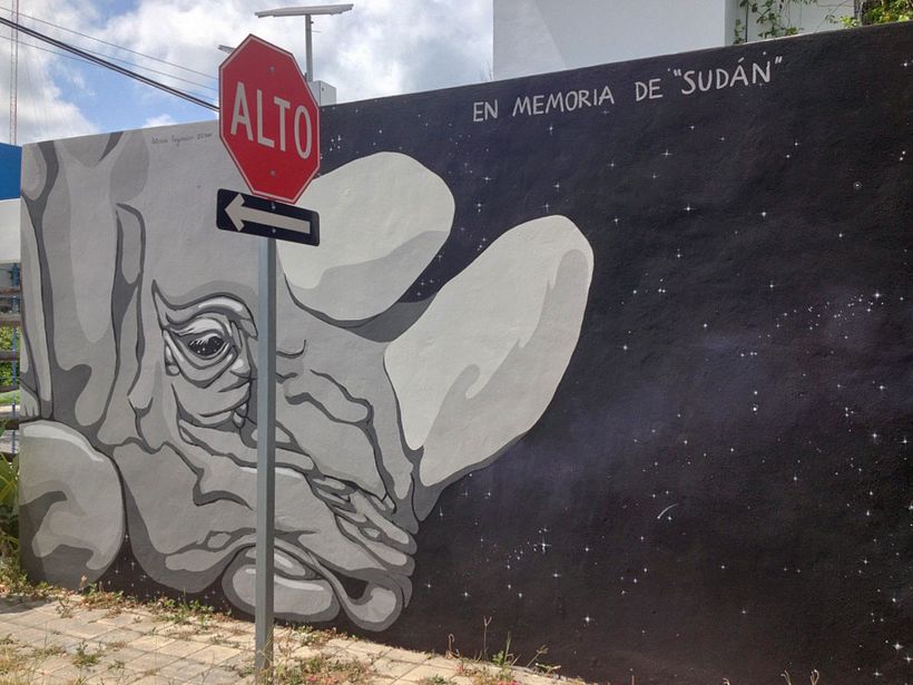 Proyecto Sudán / Mural 3