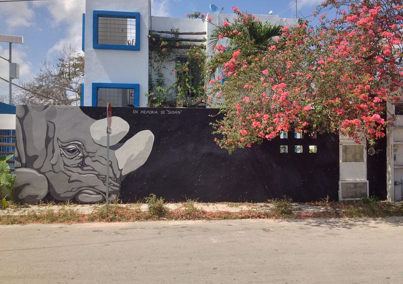 Proyecto Sudán / Mural 5