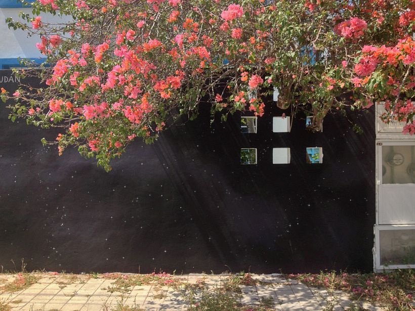 Proyecto Sudán / Mural 2