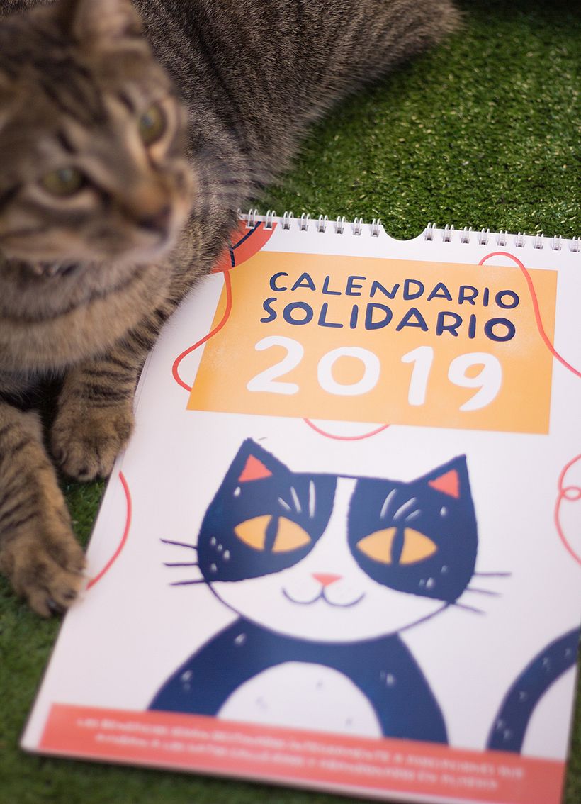 Calendario solidario 2019 1