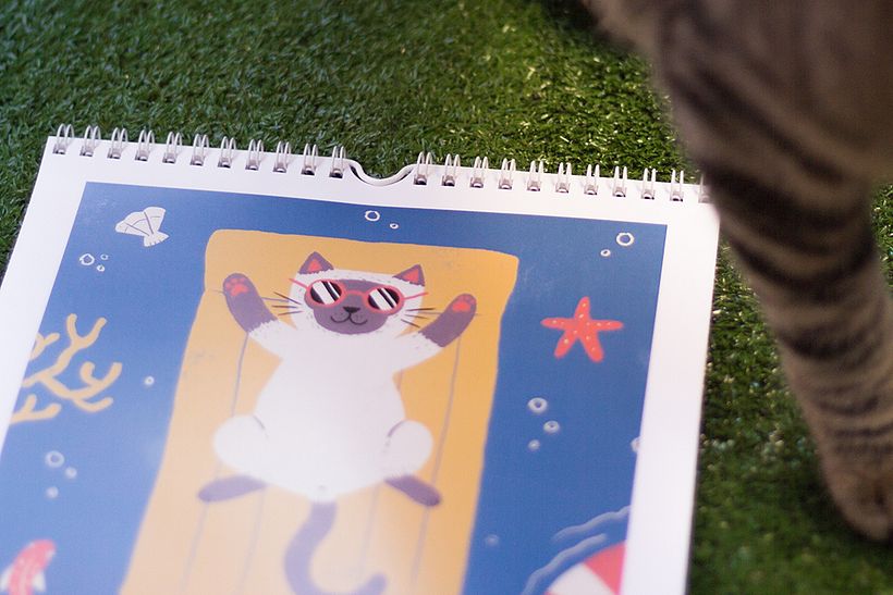 Calendario solidario 2019 2