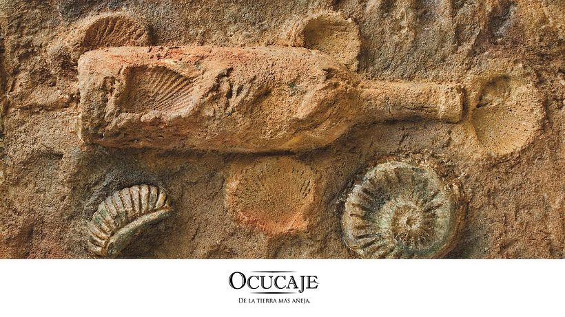 Ocucaje Vinos 2