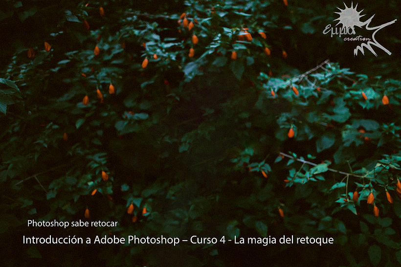  Introducción a Adobe Photoshop Curso  17