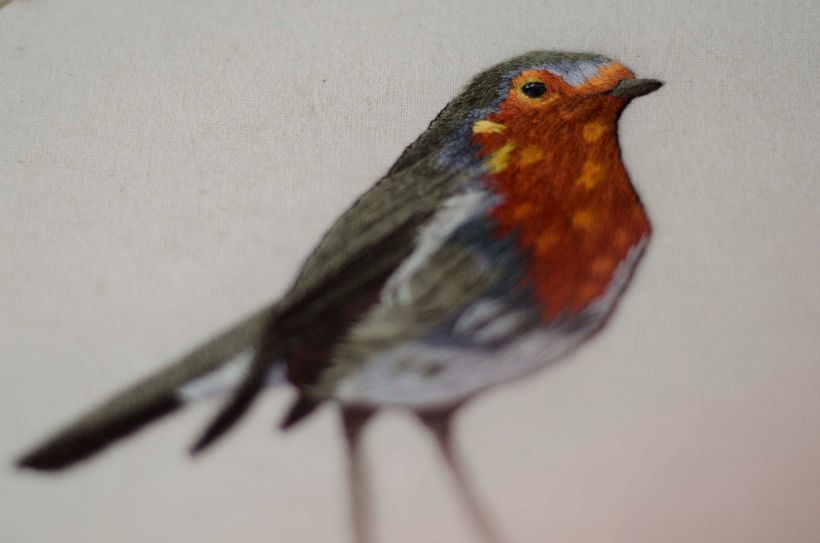 Mi Proyecto del curso: Pintar con hilo: técnicas de ilustración textil - Stickerei