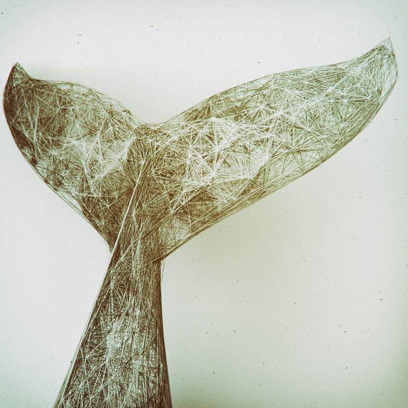 Random Series v5 3