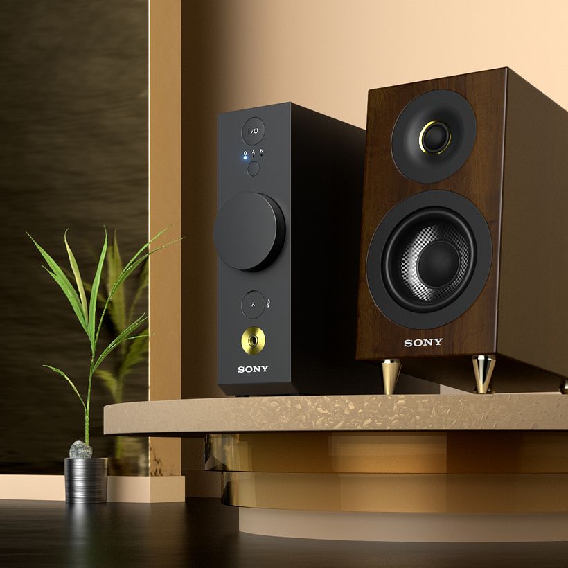 Sony cas/1 0