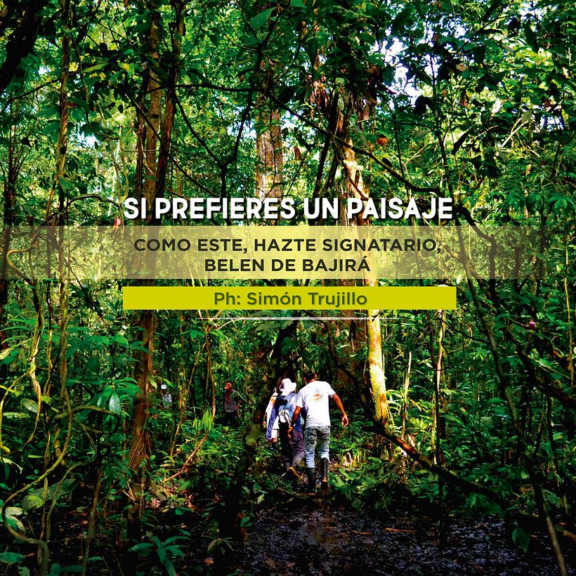 + Bosques  2