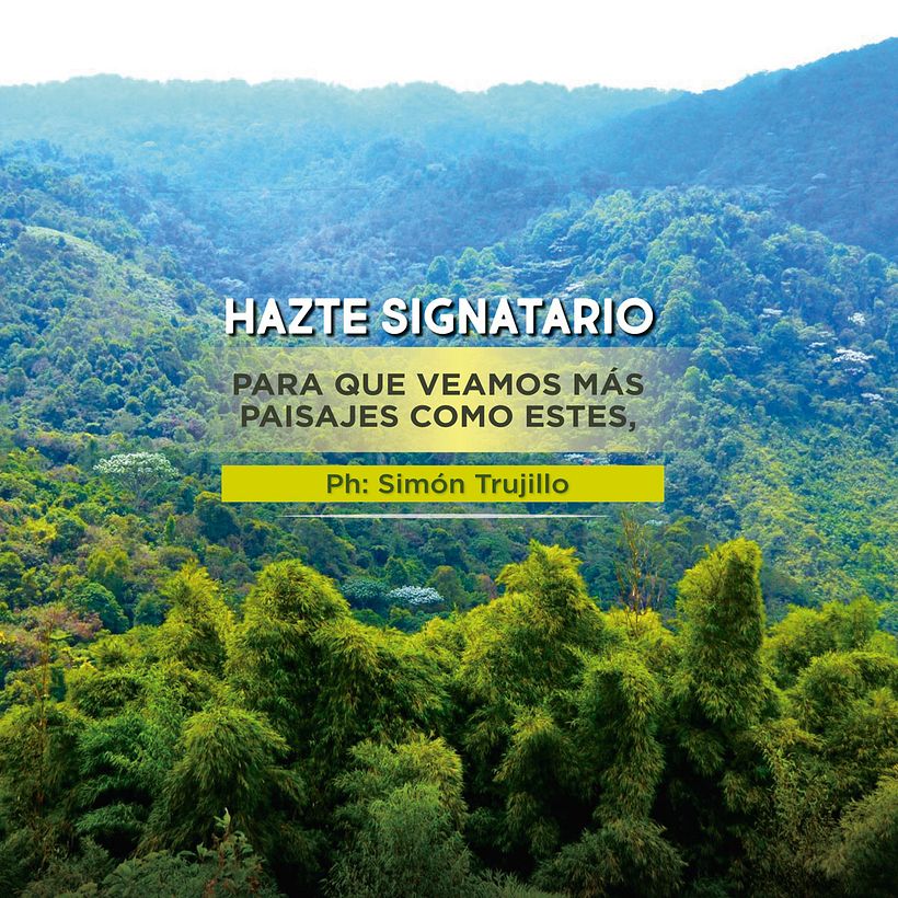 + Bosques  4