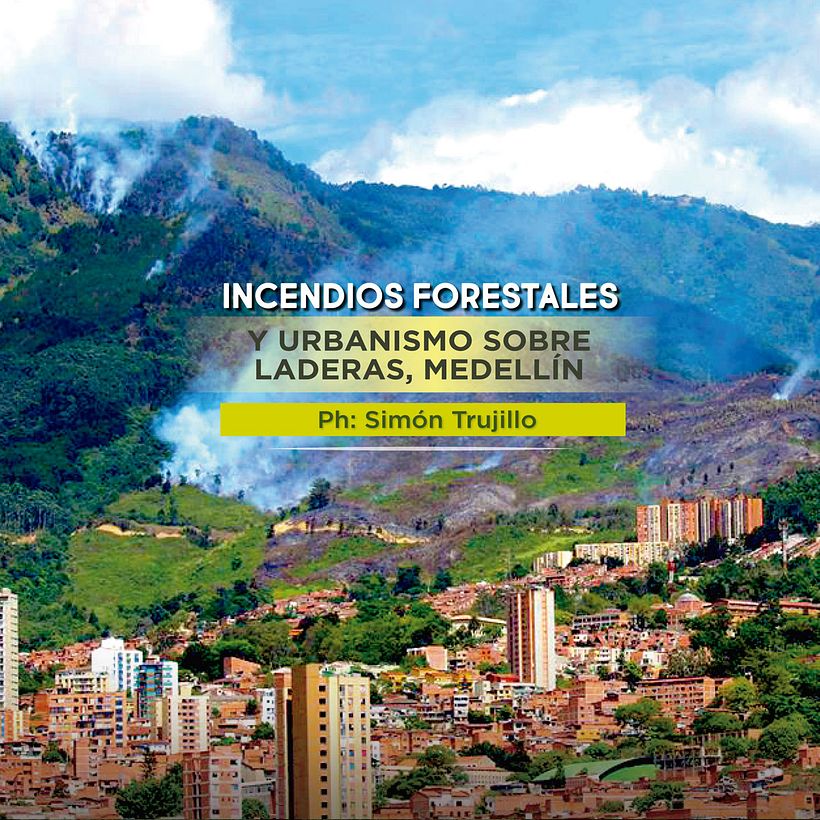 + Bosques  3