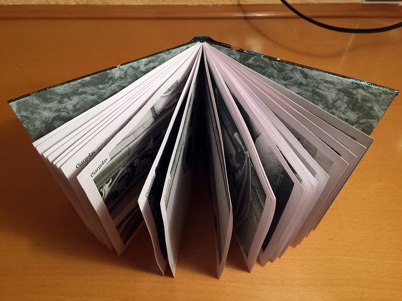Mi Proyecto del curso: Encuadernación Gárgolas 8
