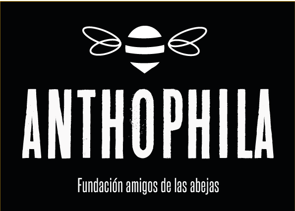 Branding // Anthophila // Fundación amigos de las abejas -1