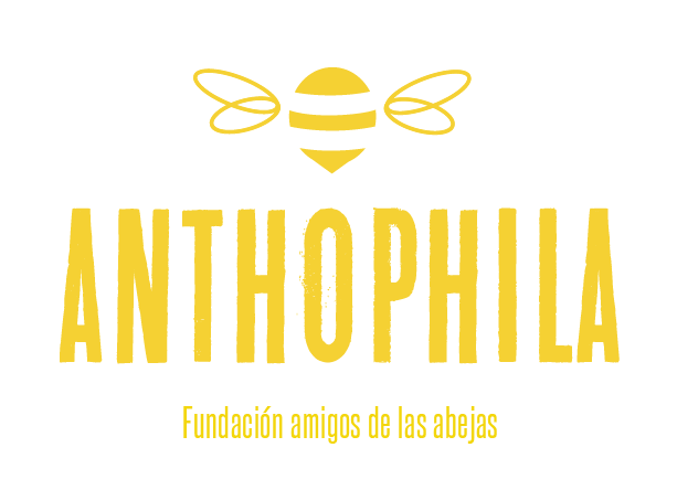 Branding // Anthophila // Fundación amigos de las abejas 0