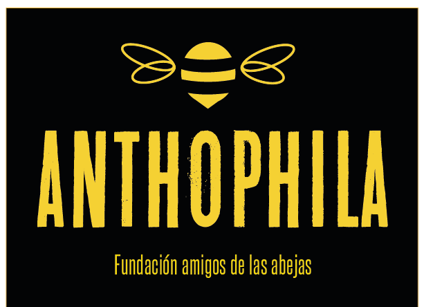 Branding // Anthophila // Fundación amigos de las abejas 2