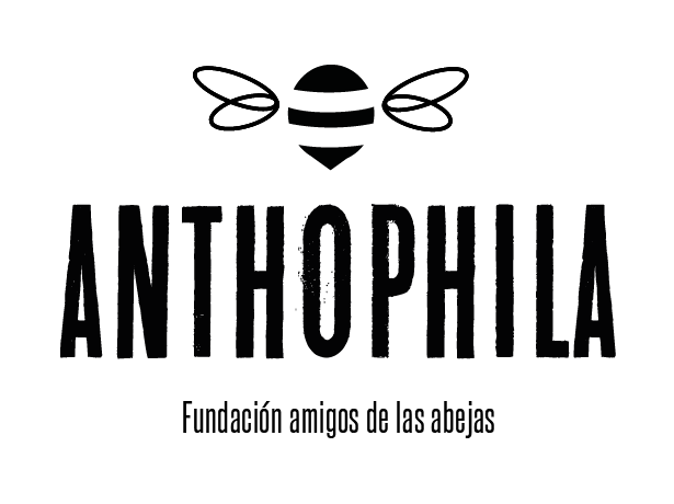 Branding // Anthophila // Fundación amigos de las abejas 4