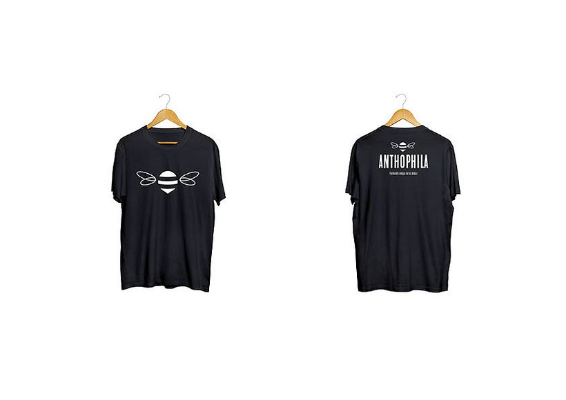 Branding // Anthophila // Fundación amigos de las abejas 8