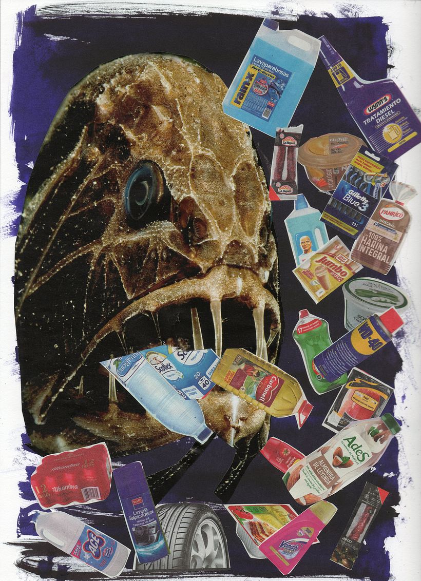 Cuaderno de principiante 12