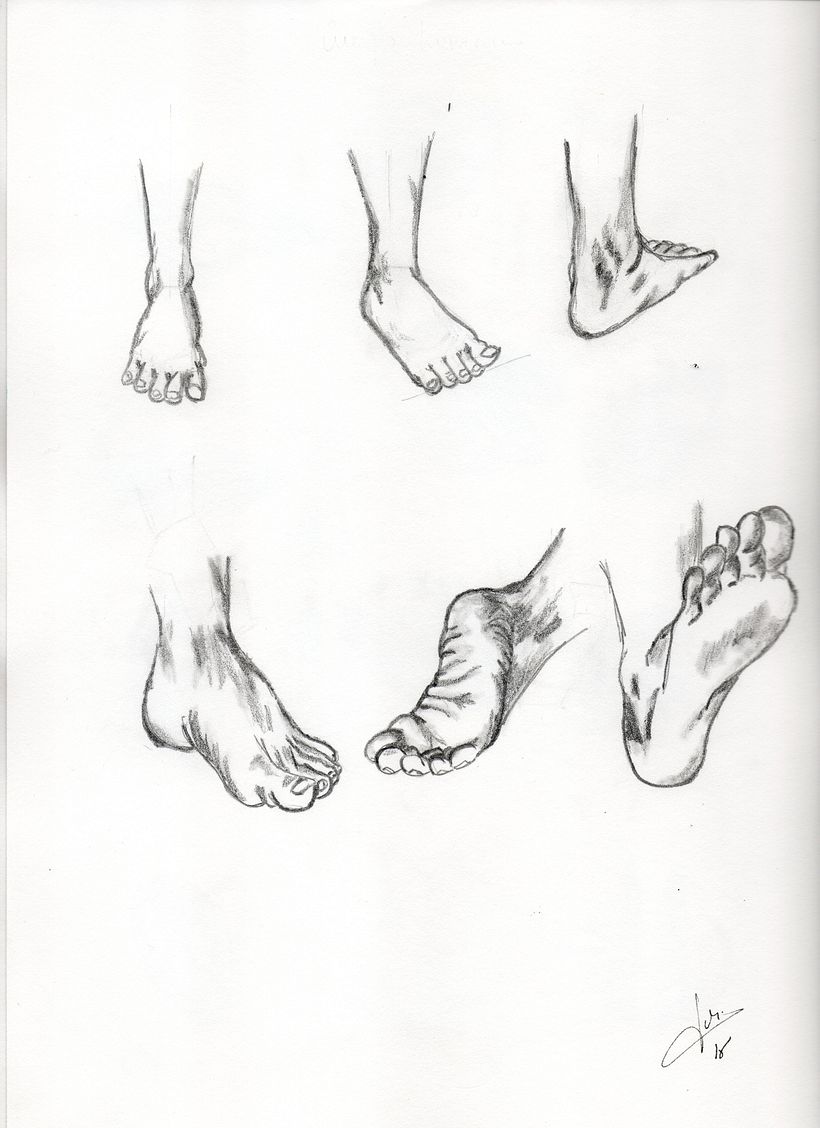 Cuaderno de principiante 29