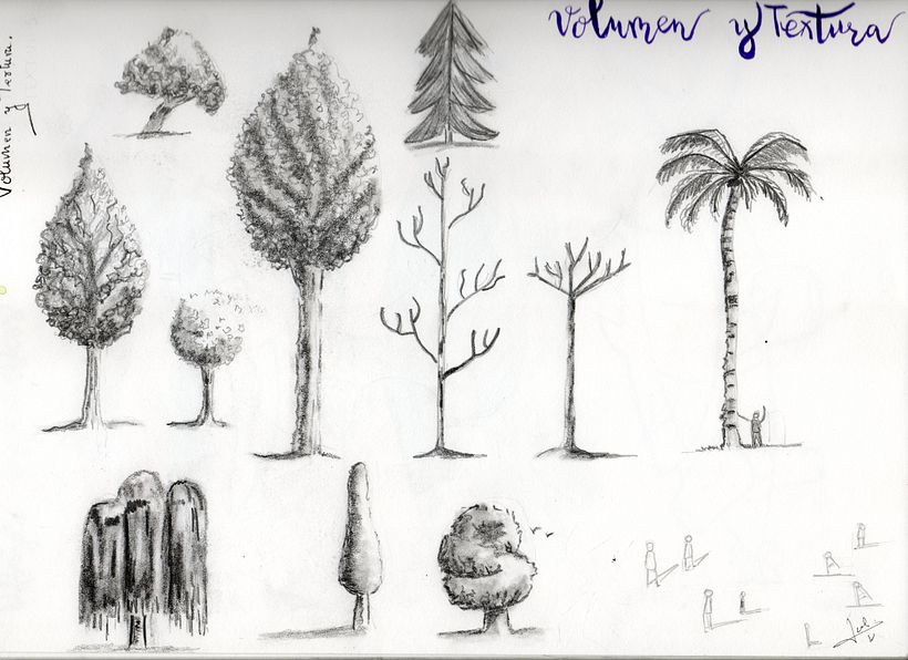 Cuaderno de principiante 31