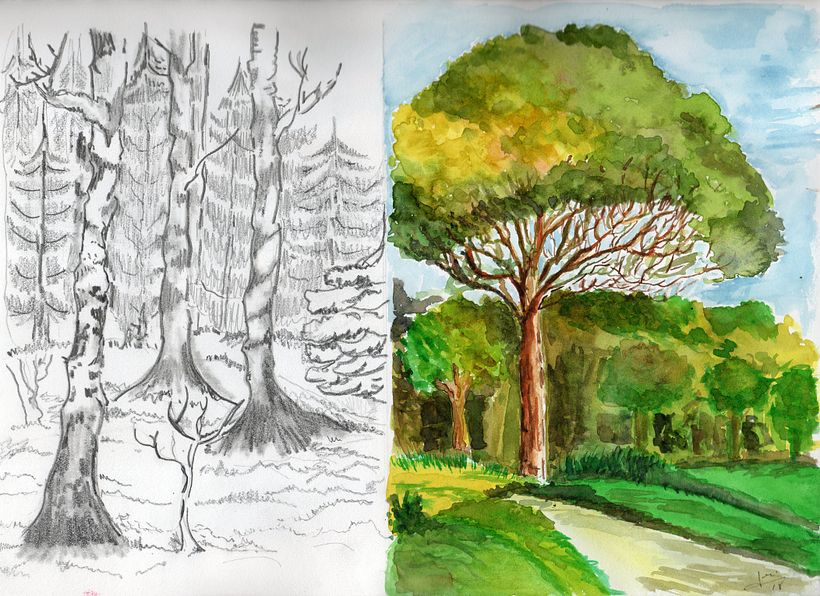 Cuaderno de principiante 34