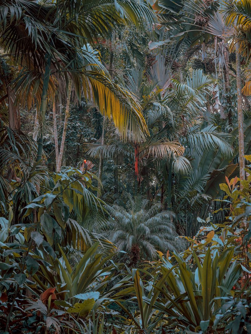 La fotografía natural y serena de Cody Cobb 5
