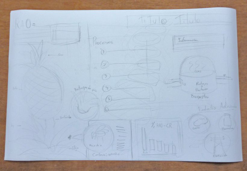 Infograma RAO de la Piña -1