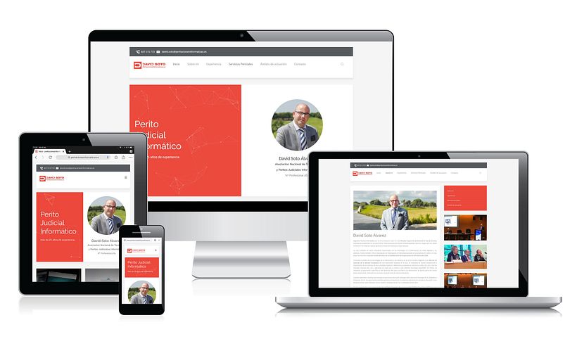 Web profesional David Soto 0