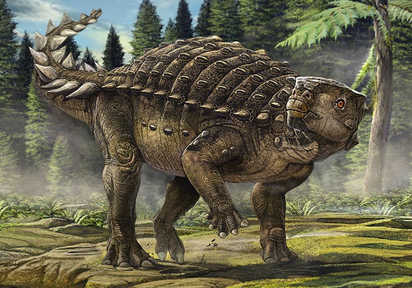 Busco ilustrador estilo realista para proyecto de Albúm Ilustrado 1