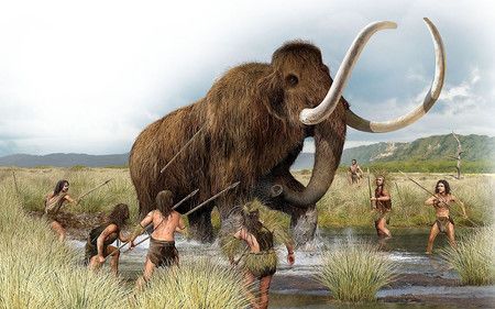 Busco ilustrador estilo realista para proyecto de Albúm Ilustrado 2