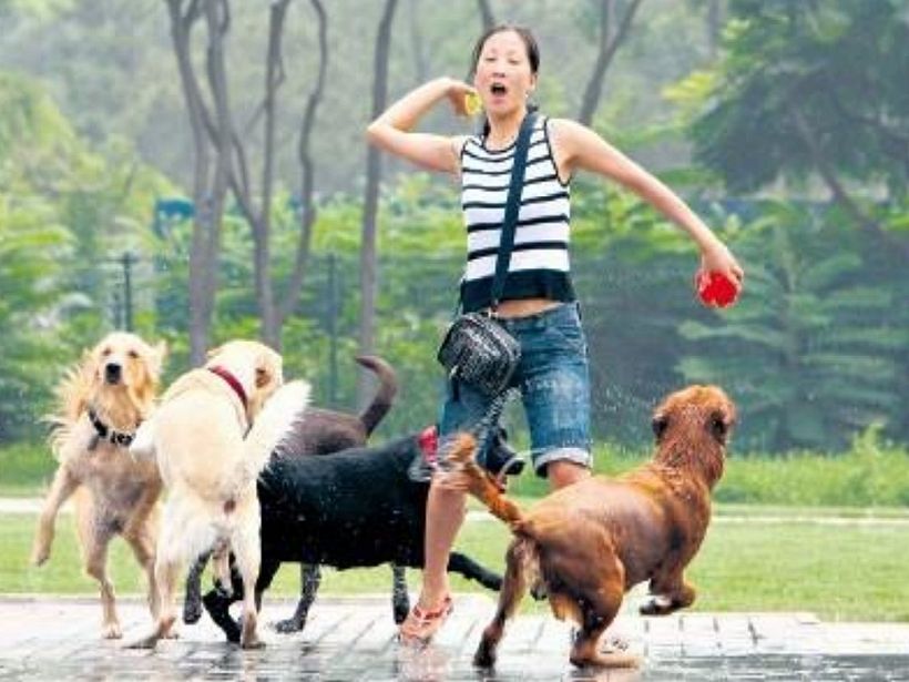 Mi Proyecto del curso: Creatividad publicitaria para todos los públicos 4