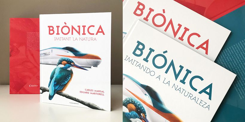 Biónica, imitando a la naturaleza 10