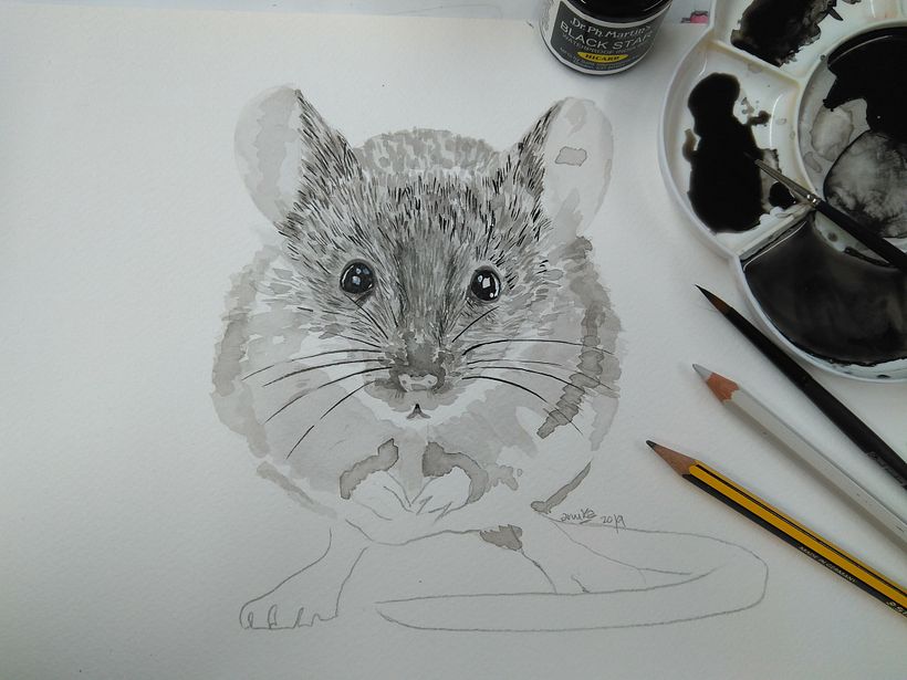  ratoncete sagutxo 0