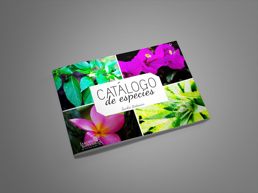 Catálogo de Plantas  1