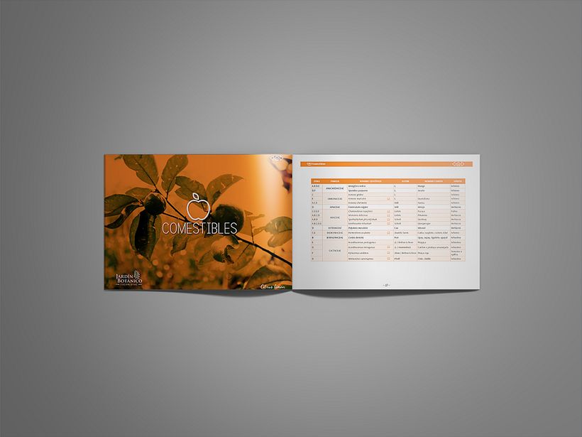 Catálogo de Plantas  3