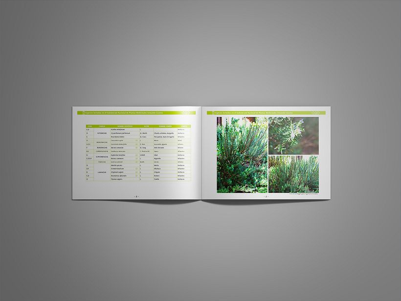 Catálogo de Plantas  5