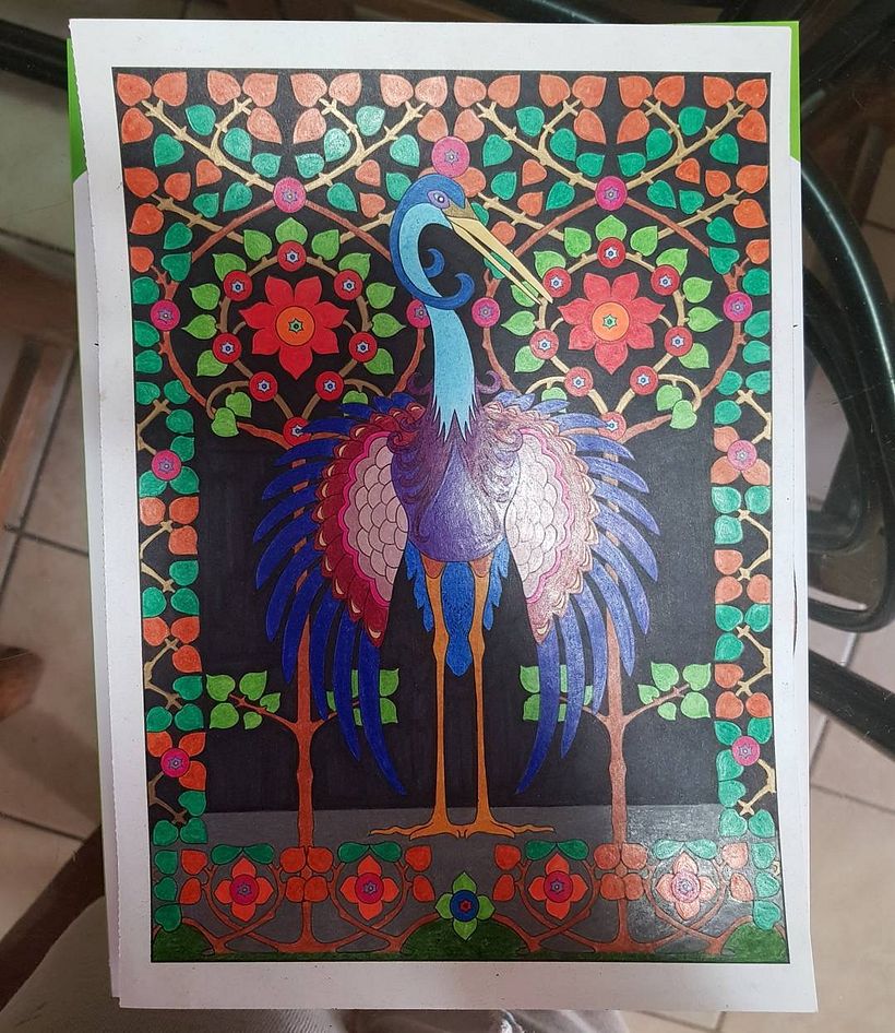 Coloreando 1