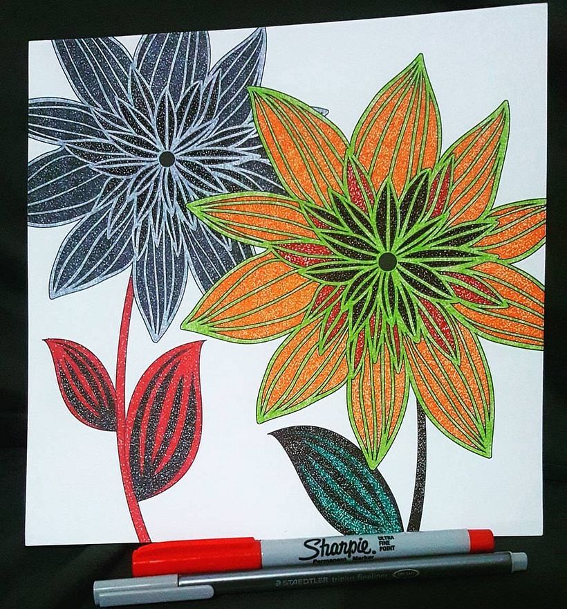 Coloreando 5