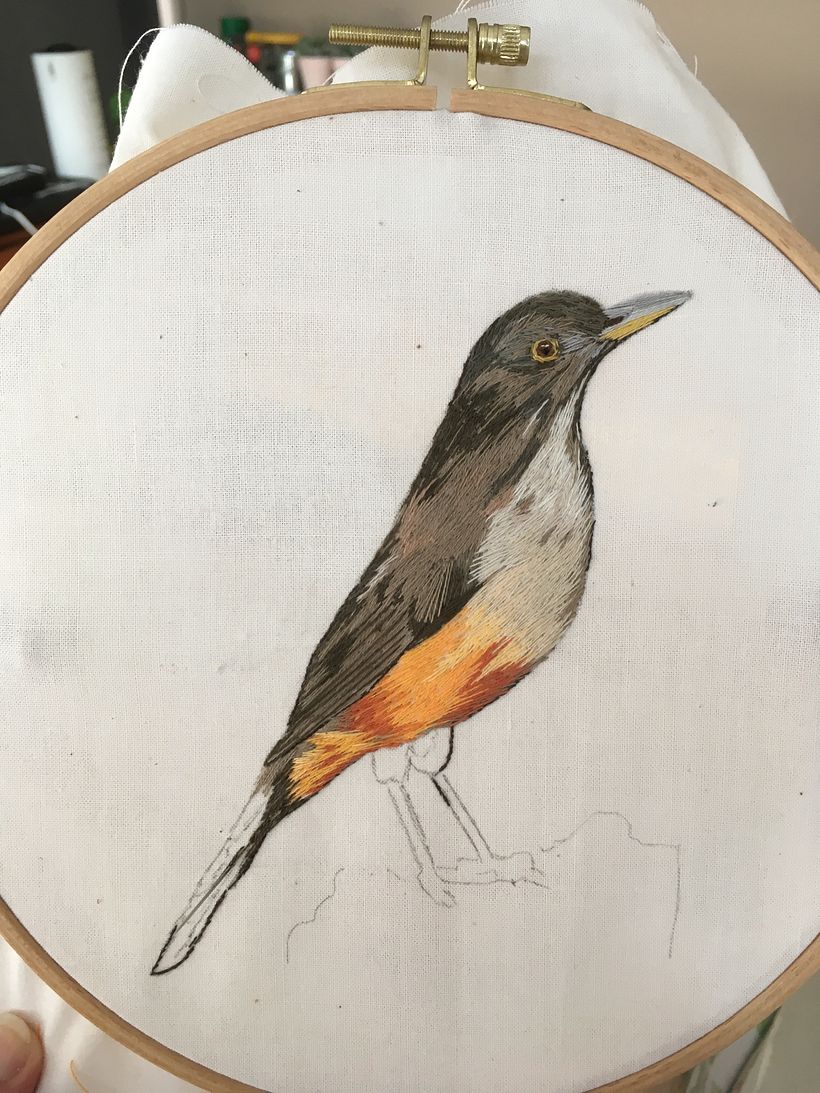 Mi Proyecto del curso: Pintar con hilo: técnicas de ilustración textil 0