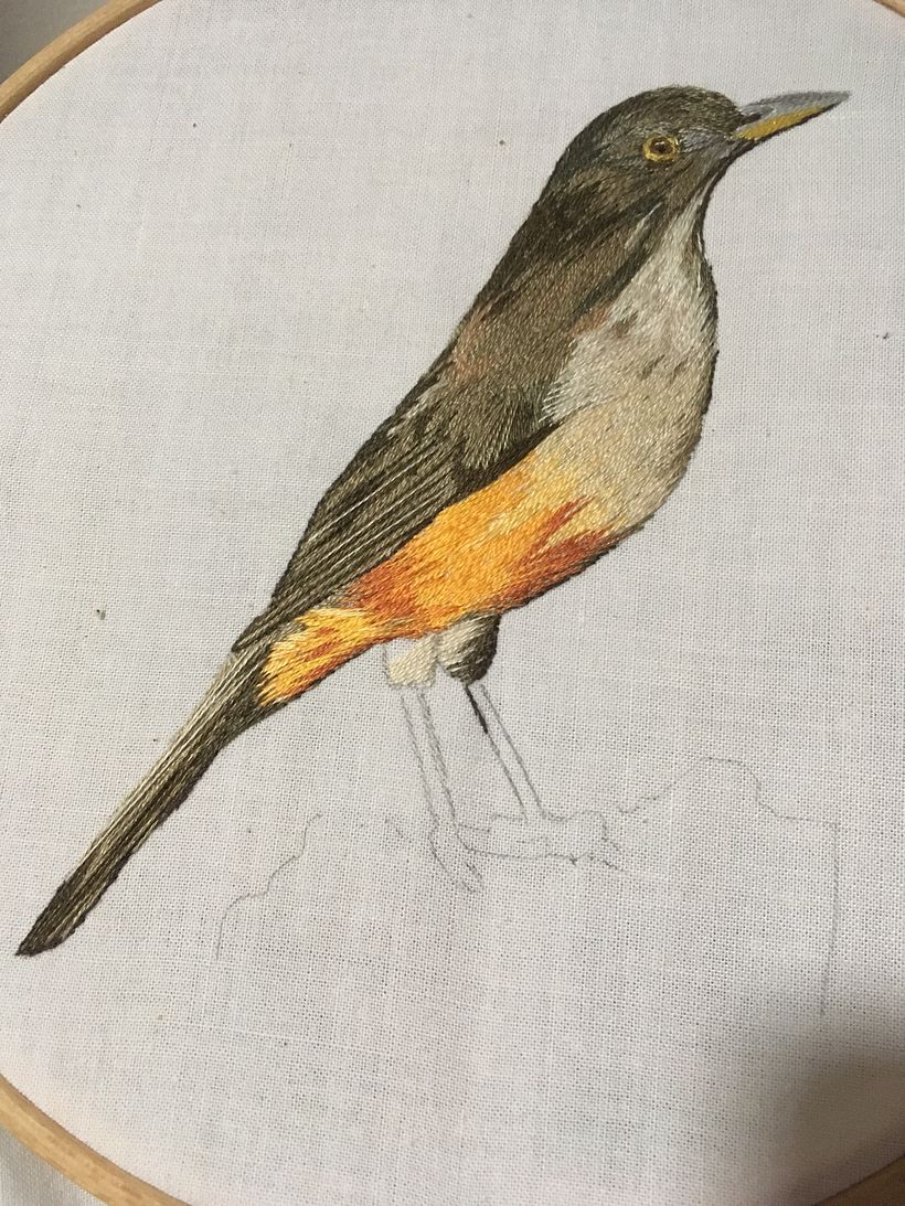 Mi Proyecto del curso: Pintar con hilo: técnicas de ilustración textil 1