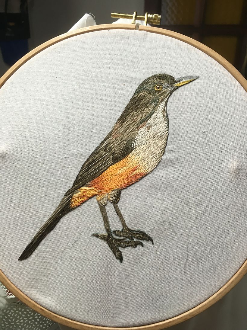 Mi Proyecto del curso: Pintar con hilo: técnicas de ilustración textil 2