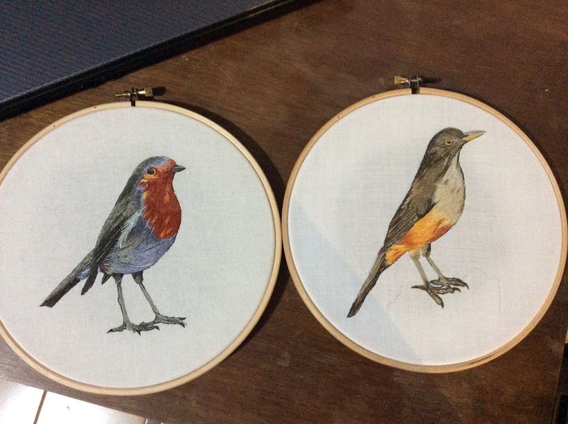Mi Proyecto del curso: Pintar con hilo: técnicas de ilustración textil 3