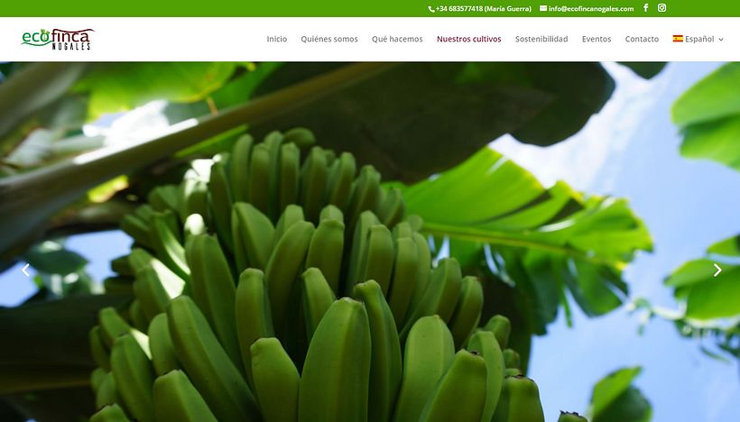 Eco Finca Nogales - Sitio Web, Fotografía y Video 1