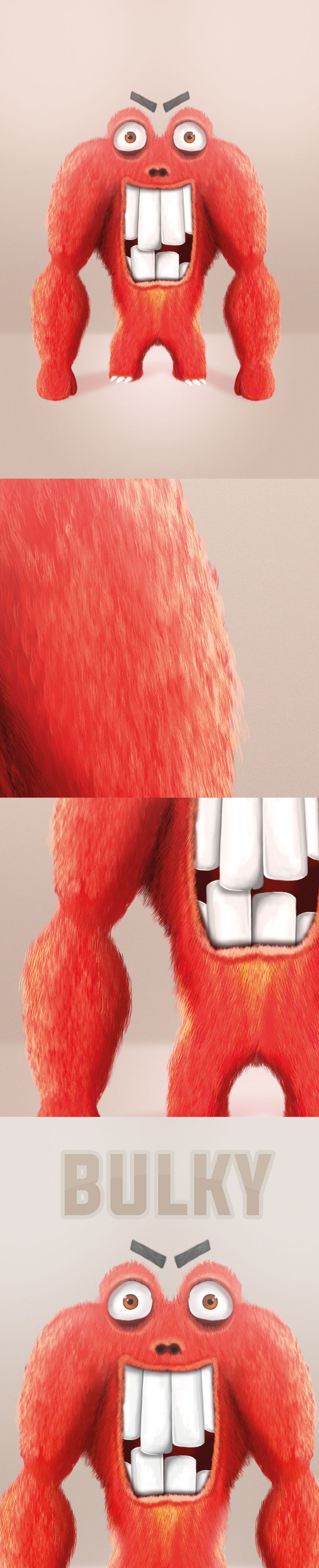 Bulky_Illustration  -1