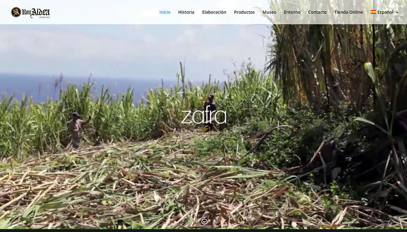 Destilerias Aldea, S.L. - Sitio Web  0