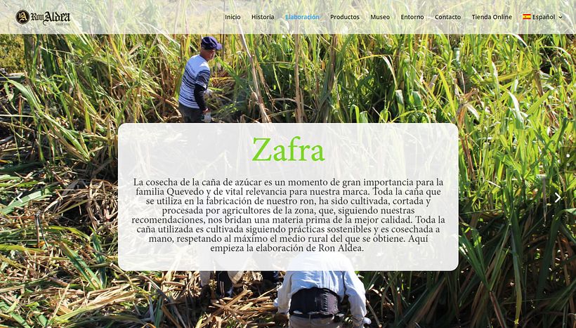 Destilerias Aldea, S.L. - Sitio Web  2